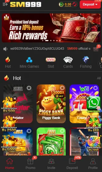 SM999 Game dashboard and wallet features