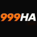 999HA Game