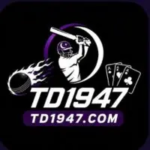 TD1947 Game